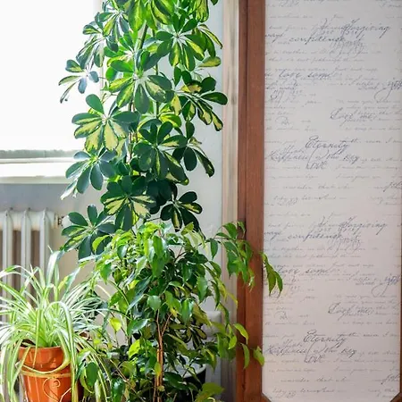 Casa Alessandro Homestay szállás